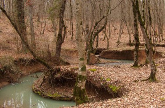 ajameti-protected-area