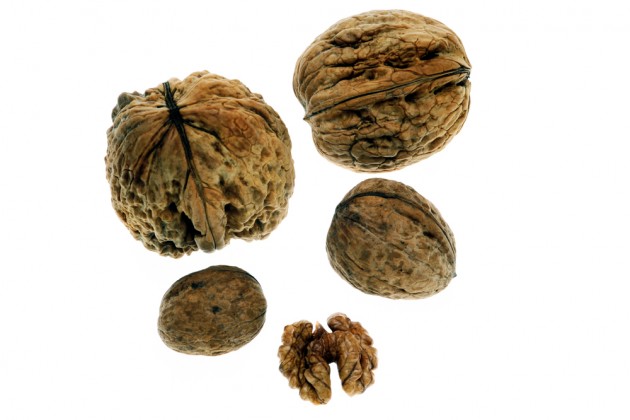 Walnuts2
